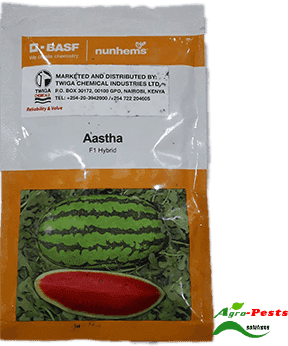 Aastha F1 5,000 Seeds