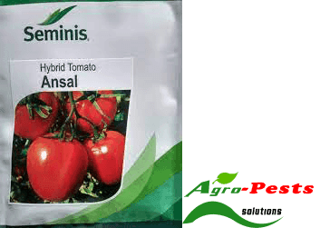 Ansal F1 tomato 10,000 Seeds