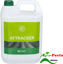 Attracker 1L