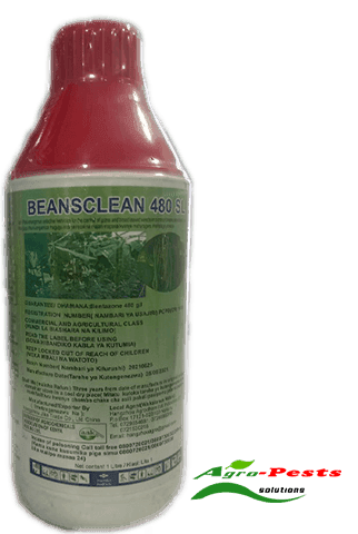 Beansclean 480SL 5L