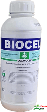 Biocel 1L