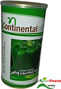 HYB Calypso FCS Green Pepper (capsicum) 50g