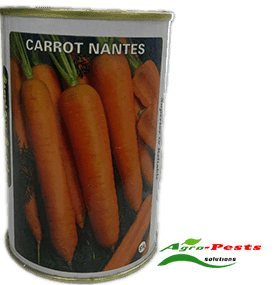 Carrot Nantes 1Kg