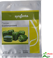 Commandant Pepper (capsicum) 1,000 Seeds