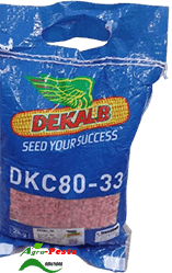 Dekalb DKC 80-33 (DK 8033) Maize 2Kg