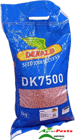 DK 7500 Hybrid Yellow Maize 5Kg