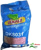 Dekalb DK 8031 Maize 2Kg