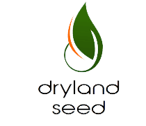 Dryland Seed