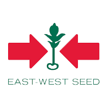 East West