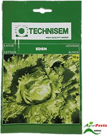 Eden Lettuce 10G