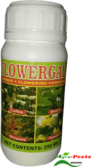 Flowergal 250ml