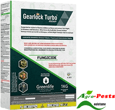 Gearlock Turbo® 250WP 1Kg