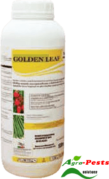 Golden Leaf 1L