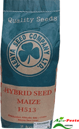 Hybrid Seed H 513 Maize 2kg