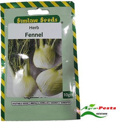 Herb Fennel 10g