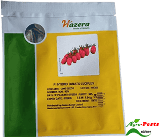 Cherry Tomato Luciplus 1,000 Seeds