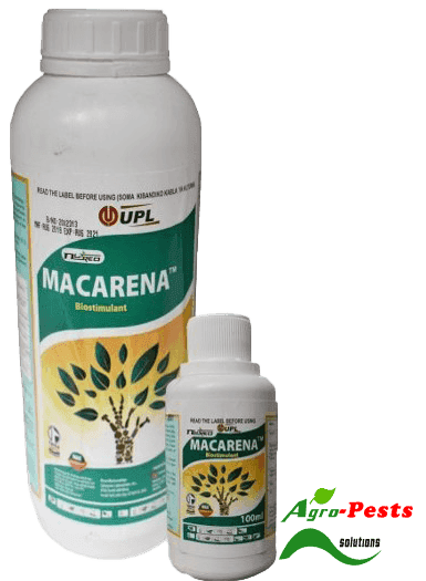 Macarena 1L