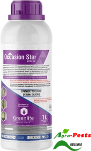 Occasion Star® 200SC 1L