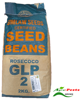 Rosecoco beans-2kg