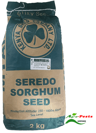 Seredo Sorghum Seed 2Kg