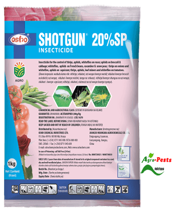 Shotgun 20% SP 20g