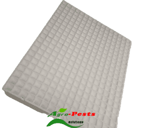 Styrofoam Trays 388 Holes