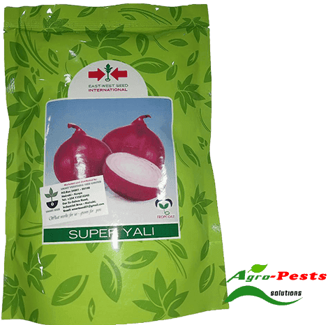 Super Yali onion 500g