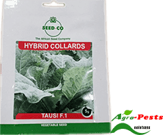 Tausi F1 Collards 2.5G