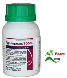 Pegasus 500SC 100ml