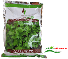 Dhania Longstanding Coriander 1kg