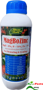 MagBoZinc Foliar Fertilizer -1L