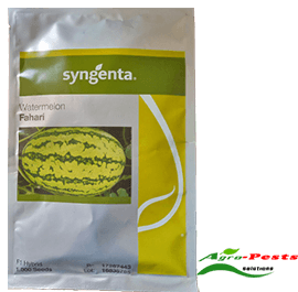 Fahari F1 Watermelon 5000 seeds (500g