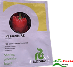 Pasarella RZ F1 Sweet Pepper (capsicum) 100 seeds