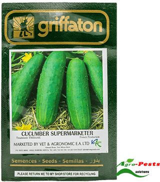 Cucumber Supermarketer 10g