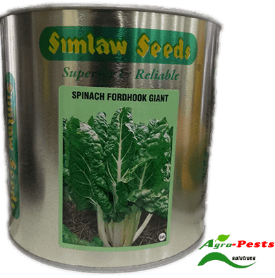Spinach Fordhook Giant (Simlaw) 50g