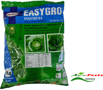 Easygro Vegetative 1Kg