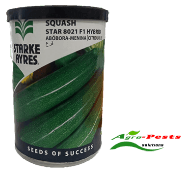 Spinach Fordhook Giant/Swiss Chard 100g