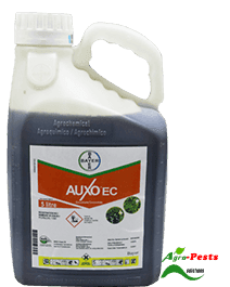 Auxo EC 5L