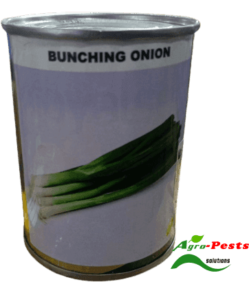Spring Bunching onion Simlaw 50g