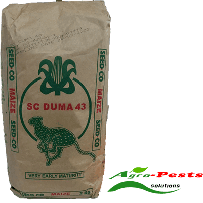 SC Duma 43 maize 2kg