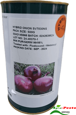Red Hallen F1 SV onion 250g