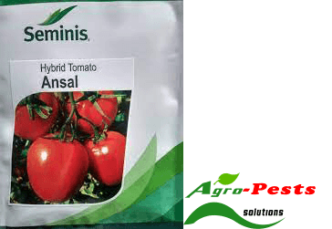 Ansal F1 Tomato 1,000 Seeds
