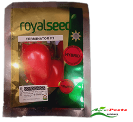 Tomato Terminator F1 2 .5g