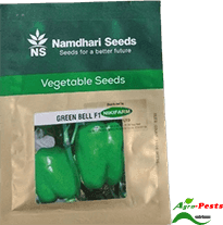 Green bell F1 Pepper (capsicum) 500 Seeds