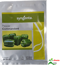 Commandant Pepper (capsicum) 500 Seeds