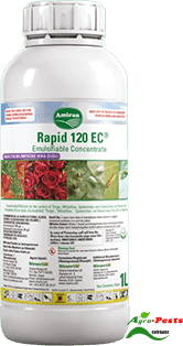 Rapid 120 EC 500ml