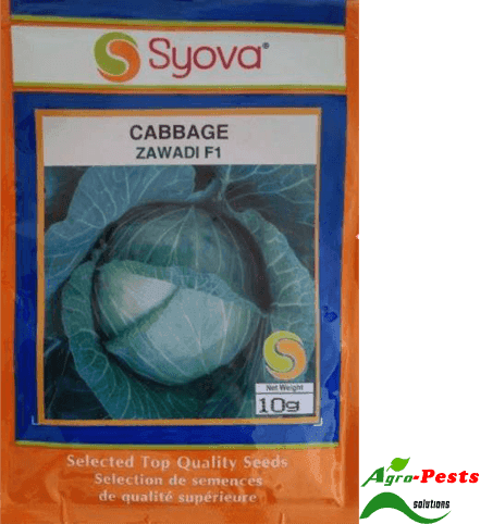 Zawadi F1 Cabbage 5g