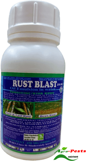 Rust blast 250ml