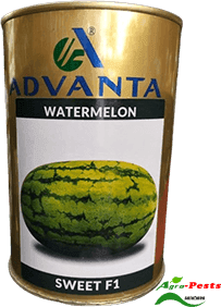 sweet f1 watermelon 250g