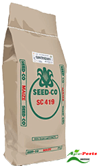Duma 419 Maize 2kg